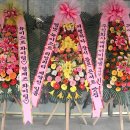 아론(Aron) 당구 클럽 | 190414 뉴이스트 NU'EST <Segno> 세뇨 콘서트 후기