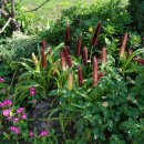 서울영양 이미지