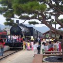 곡성-190 경향신문