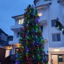 삐끄니끄 펜션 이미지