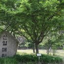 황학산수목원 이미지