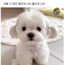 이쁨