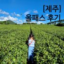서쪽아이 | 제주 올패스 아이와 24시간 이용 후기 제주도 서쪽 여행 코스