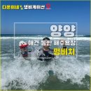 멍아지트 | [양양 애견동반 해수욕장] - 멍비치 개장 오픈런 후기! 강아지와 이용 정보 꿀팁까지!