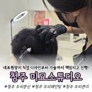 수곡로 | 청주 두피문신 미묘스튜디오, 상담부터 디자인까지 꼼꼼했던 청주 두피페인팅 후기