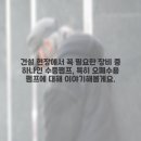 동하수중펌프 | 건설용 수중펌프 임대, 오폐수 문제를 스마트하게 해결하는 방법!