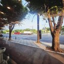 다담골 면옥 본점 이미지