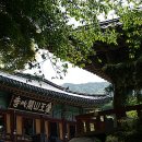 반야다원 이미지