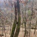 주왕암입구 이미지