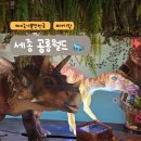 세종월드 | 세종 가볼만한 곳 세종 키즈카페 추천, 세종 공룡월드 후기 및 관람 팁