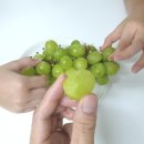 기뜰농원