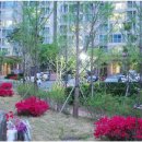 우림부동산공인중개사사무소 이미지