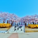 평택대학교 이미지