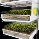 상환농장 이미지