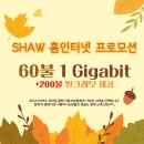 SHAW(샤) 홈 인터넷 초저가 특가 세일중! 60불 1기가 초고속 스피드 제공!! 서두르세요! 이미지