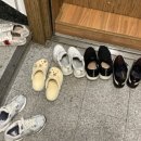 에스포톤테라피