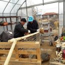 장흥 4리 이미지