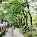 소금꽃정원 이미지