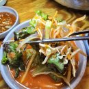 오징어 세상 이미지