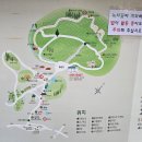 전라남도 가볼만한곳 추천 보성군 대한다원 보성녹차밭 방문 후기