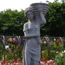 장미원사진관 티스토리