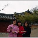 수향빌딩 Daum카페