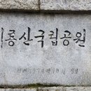 🌸🌸동학사벚꽃축제🌸🌸 이미지