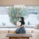 Re플레이 | 충남 아산 : 감성숙소 독채펜션 리이브 Re.eve 2편 공간 리뷰