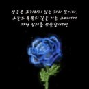 청담리더