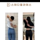 필라테스;스테디