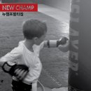 뉴챔프복싱 이미지