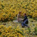 수선화꽃집