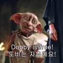 베이직스쿨 - 계양구 안남로551번길 22 | 시원스쿨랩 기초영문법 그래머인유즈 베이직 환급신청 후기
