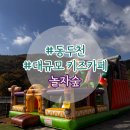 놀자 | 동두천 놀자숲 주말 통합권 후기 준비물, 꿀팁 완전정복
