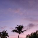 1015마트 이미지