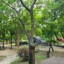 광주시민의숲 야영장 이미지