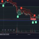 (주)파차이 이미지