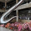 나른 스테이 이미지