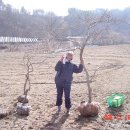 현서농장 이미지