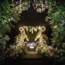 비엔티 카카오 검색결과