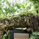 테마펜션 이미지