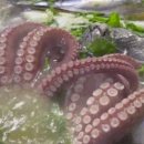 과천해신탕맛집점 네이버블로그