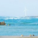 늘푸르미 이미지