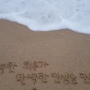 일도다방