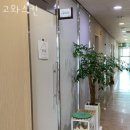 고와스킨