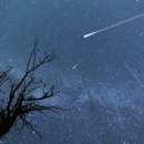 별똥별비 이미지