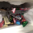 탁구 야간 이미지