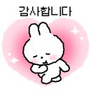 스마일댕댕 이미지