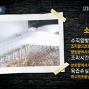 꾸버소 이미지