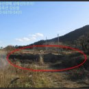 마산리목장 이미지